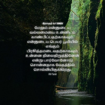 Picture 04 - ரோமர் 9:17 TAMIRV - மேலும் என்னுடைய - Bible Verse Picture