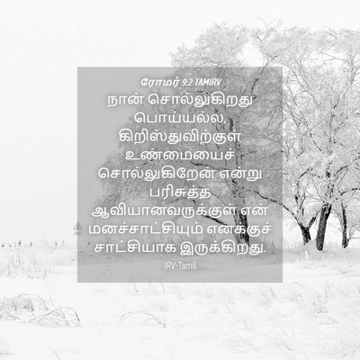 Picture 04 - ரோமர் 9:2 TAMIRV - நான் சொல்லுகிறது - Bible Verse Picture