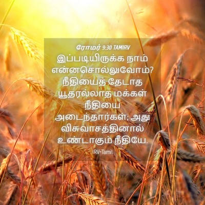 Picture 04 - ரோமர் 9:30 TAMIRV - இப்படியிருக்க - Bible Verse Picture