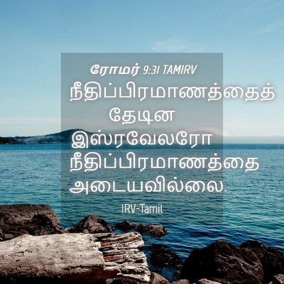 Picture 04 - ரோமர் 9:31 TAMIRV -  - Bible Verse Picture