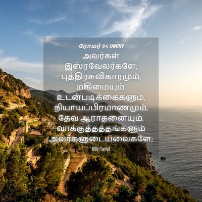 Picture 04 - ரோமர் 9:4 TAMIRV - அவர்கள் - Bible Verse Picture