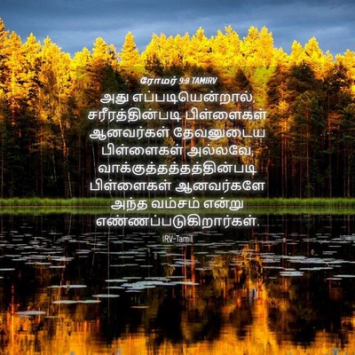 Picture 04 - ரோமர் 9:8 TAMIRV - அது - Bible Verse Picture