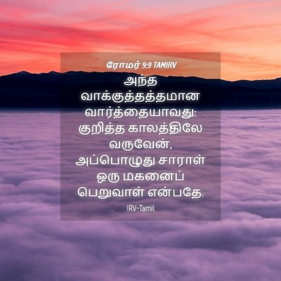 Picture 04 - ரோமர் 9:9 TAMIRV - அந்த - Bible Verse Picture