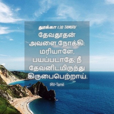 Picture 04 - லூக்கா 1:30 TAMIRV - தேவதூதன் அவளை - Bible Verse Picture