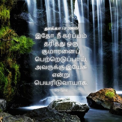 Picture 04 - லூக்கா 1:31 TAMIRV - இதோ, நீ கர்ப்பம் - Bible Verse Picture