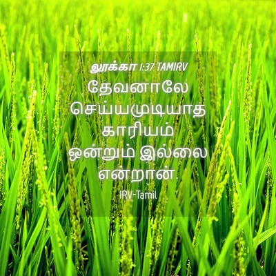 Picture 04 - லூக்கா 1:37 TAMIRV - தேவனாலே - Bible Verse Picture
