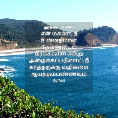 Picture 04 - லூக்கா 1:76 TAMIRV - என் மகனே, நீ - Bible Verse Picture