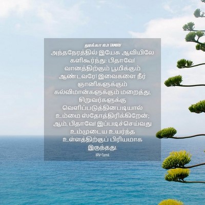 Picture 04 - லூக்கா 10:21 TAMIRV - அந்தநேரத்தில் - Bible Verse Picture