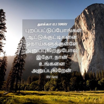 Picture 04 - லூக்கா 10:3 TAMIRV -  - Bible Verse Picture