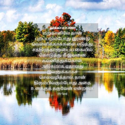 Picture 04 - லூக்கா 10:35 TAMIRV - மறுநாளிலே தான் - Bible Verse Picture