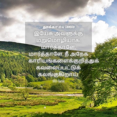 Picture 04 - லூக்கா 10:41 TAMIRV - இயேசு அவளுக்கு - Bible Verse Picture
