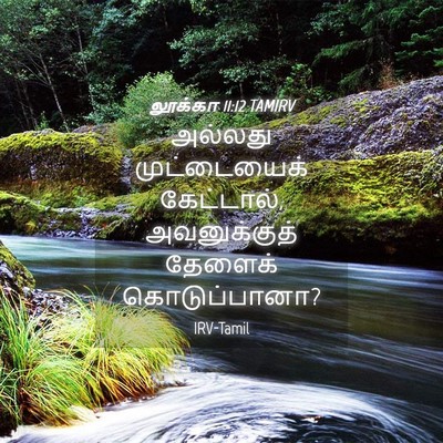 Picture 04 - லூக்கா 11:12 TAMIRV - அல்லது முட்டையைக் - Bible Verse Picture