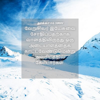 Picture 04 - லூக்கா 11:16 TAMIRV - வேறுசிலர் இயேசுவை - Bible Verse Picture