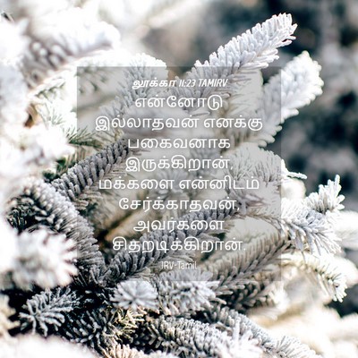 Picture 04 - லூக்கா 11:23 TAMIRV - என்னோடு இல்லாதவன் - Bible Verse Picture