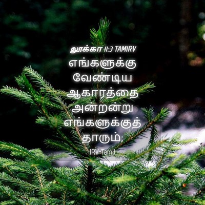 Picture 04 - லூக்கா 11:3 TAMIRV - எங்களுக்கு - Bible Verse Picture