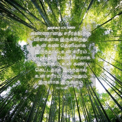 Picture 04 - லூக்கா 11:34 TAMIRV - கண்ணானது - Bible Verse Picture