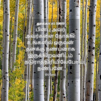 Picture 04 - லூக்கா 11:5 TAMIRV - பின்பு அவர் - Bible Verse Picture
