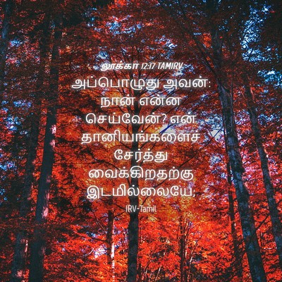 Picture 04 - லூக்கா 12:17 TAMIRV - அப்பொழுது அவன்: - Bible Verse Picture