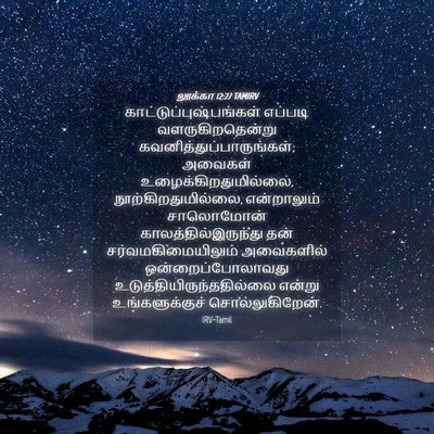 Picture 04 - லூக்கா 12:27 TAMIRV -  - Bible Verse Picture
