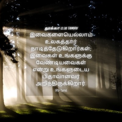 Picture 04 - லூக்கா 12:30 TAMIRV - இவைகளையெல்லாம் - Bible Verse Picture
