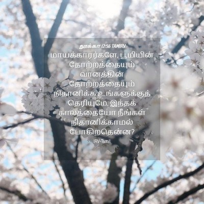 Picture 04 - லூக்கா 12:56 TAMIRV - மாயக்காரர்களே, - Bible Verse Picture