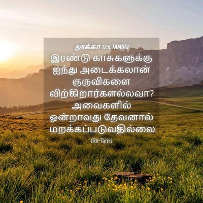 Picture 04 - லூக்கா 12:6 TAMIRV - இரண்டு - Bible Verse Picture