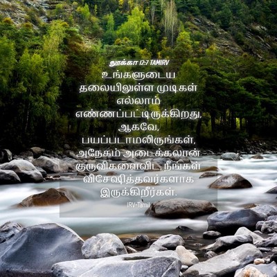 Picture 04 - லூக்கா 12:7 TAMIRV - உங்களுடைய - Bible Verse Picture