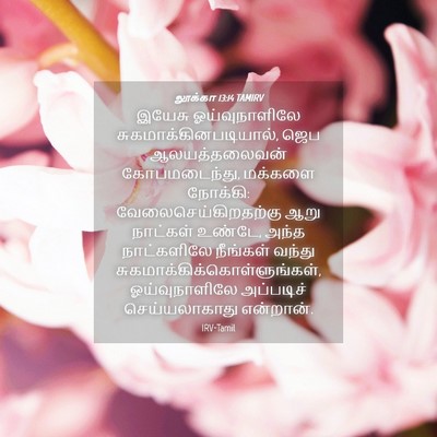 Picture 04 - லூக்கா 13:14 TAMIRV - இயேசு ஓய்வுநாளிலே - Bible Verse Picture