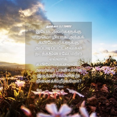 Picture 04 - லூக்கா 13:2 TAMIRV - இயேசு அவர்களுக்கு - Bible Verse Picture