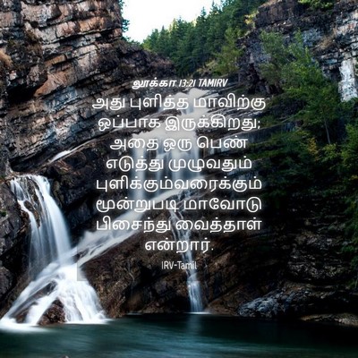 Picture 04 - லூக்கா 13:21 TAMIRV - அது புளித்த - Bible Verse Picture