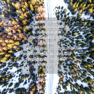 Picture 04 - லூக்கா 13:5 TAMIRV - அப்படியல்லவென்று - Bible Verse Picture