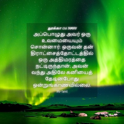 Picture 04 - லூக்கா 13:6 TAMIRV - அப்பொழுது அவர் - Bible Verse Picture