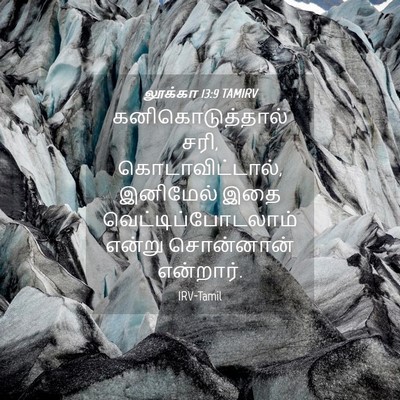 Picture 04 - லூக்கா 13:9 TAMIRV - கனிகொடுத்தால் - Bible Verse Picture