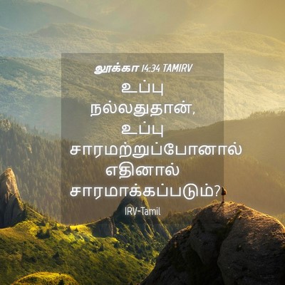 Picture 04 - லூக்கா 14:34 TAMIRV - உப்பு நல்லதுதான், - Bible Verse Picture