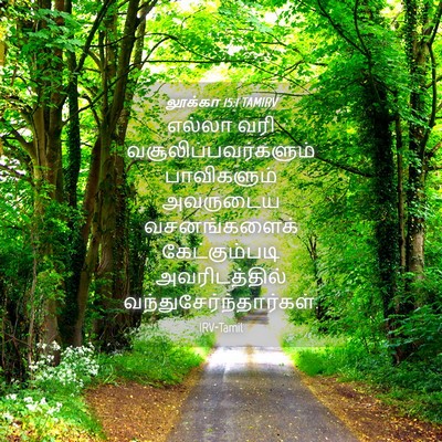 Picture 04 - லூக்கா 15:1 TAMIRV - எல்லா வரி - Bible Verse Picture