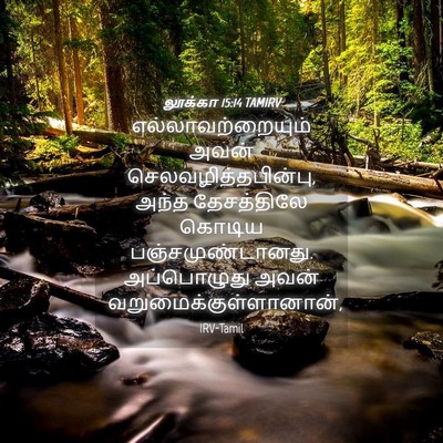 Picture 04 - லூக்கா 15:14 TAMIRV - எல்லாவற்றையும் - Bible Verse Picture
