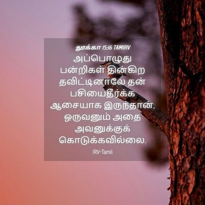 Picture 04 - லூக்கா 15:16 TAMIRV - அப்பொழுது - Bible Verse Picture