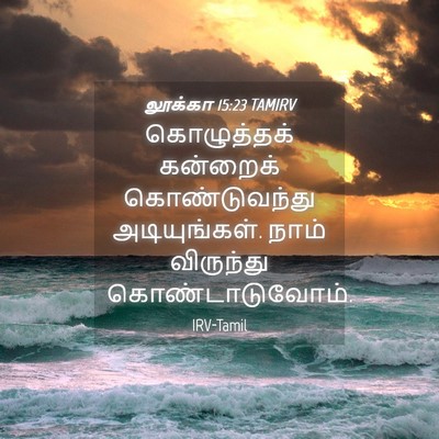Picture 04 - லூக்கா 15:23 TAMIRV - கொழுத்தக் கன்றைக் - Bible Verse Picture