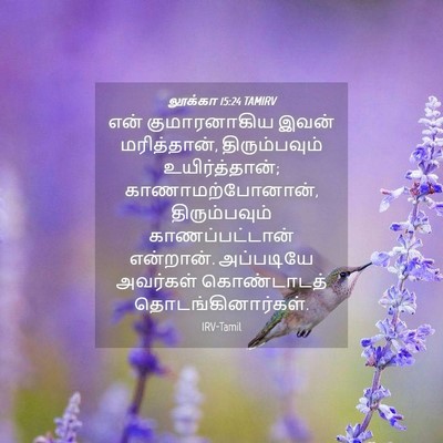 Picture 04 - லூக்கா 15:24 TAMIRV - என் குமாரனாகிய - Bible Verse Picture