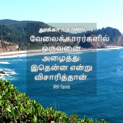 Picture 04 - லூக்கா 15:26 TAMIRV - வேலைக்காரர்களில் - Bible Verse Picture
