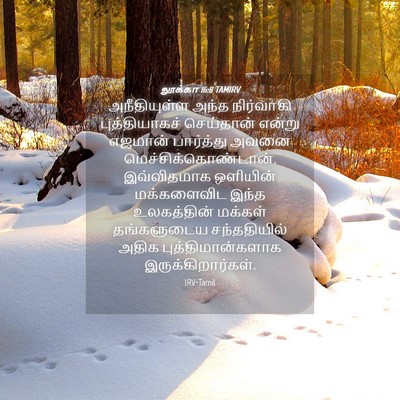 Picture 04 - லூக்கா 16:8 TAMIRV - அநீதியுள்ள அந்த - Bible Verse Picture