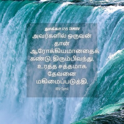 Picture 04 - லூக்கா 17:15 TAMIRV - அவர்களில் ஒருவன் - Bible Verse Picture