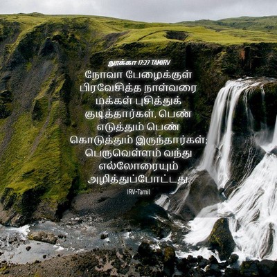 Picture 04 - லூக்கா 17:27 TAMIRV - நோவா பேழைக்குள் - Bible Verse Picture