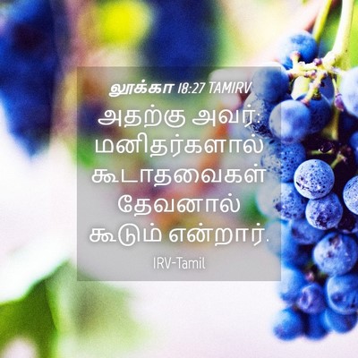 Picture 04 - லூக்கா 18:27 TAMIRV - அதற்கு அவர்: - Bible Verse Picture