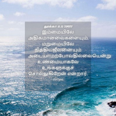 Picture 04 - லூக்கா 18:30 TAMIRV - இம்மையிலே - Bible Verse Picture