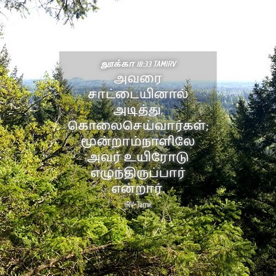 Picture 04 - லூக்கா 18:33 TAMIRV - அவரை சாட்டையினால் - Bible Verse Picture