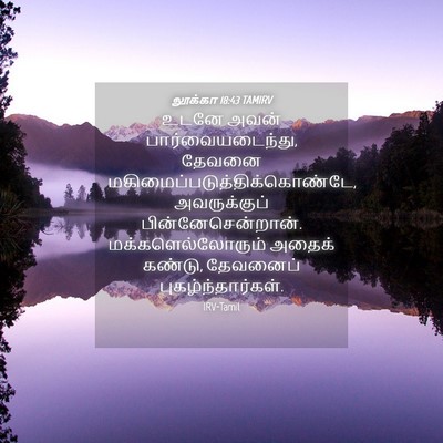 Picture 04 - லூக்கா 18:43 TAMIRV - உடனே அவன் - Bible Verse Picture