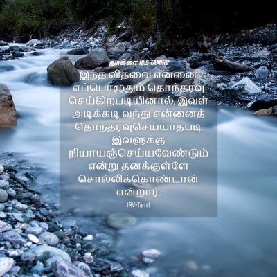 Picture 04 - லூக்கா 18:5 TAMIRV - இந்த விதவை என்னை - Bible Verse Picture