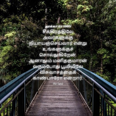 Picture 04 - லூக்கா 18:8 TAMIRV - சீக்கிரத்திலே - Bible Verse Picture