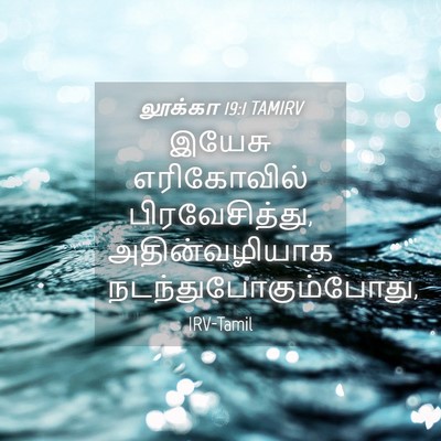 Picture 04 - லூக்கா 19:1 TAMIRV - இயேசு எரிகோவில் - Bible Verse Picture